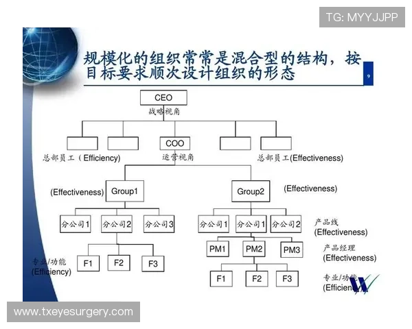 结合最新科研成果解析ag电子构型的设计原则与技术难点