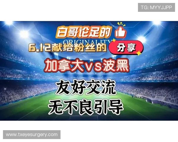 加拿大对阵波黑比赛赛后视频回放赛事精彩瞬间与球员表现全面解析